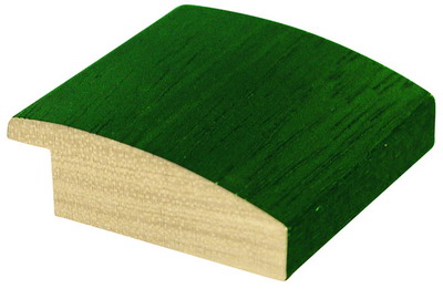 DANTIK rám na obraz 20x30 | LEDVINKA zelená (Sklo Čiré)