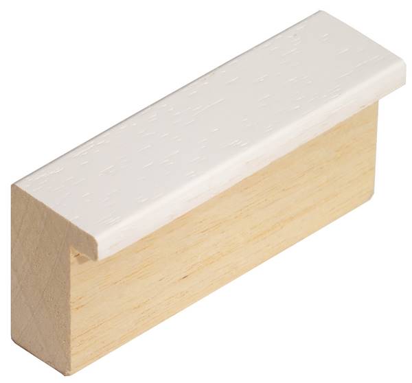 DANTIK rám na obraz 40x50 | KASSETTE bílá (Plexi Čiré)