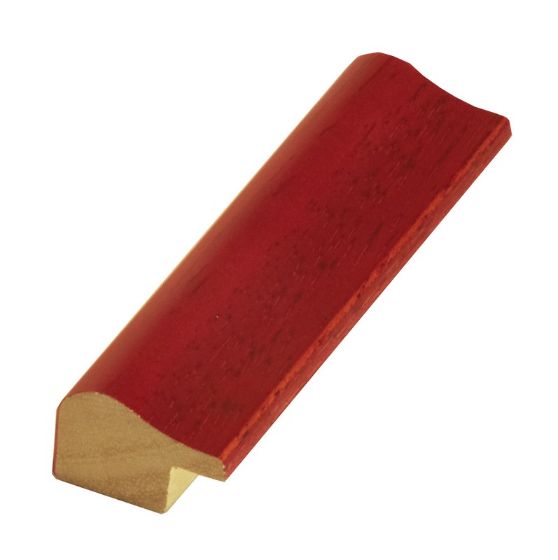 DANTIK rám na obraz 20x30 | NPINO červená (Sklo Čiré)