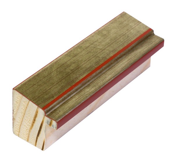 DANTIK rám na obraz 20x30 | TOMAS stříbrná (Sklo Čiré)