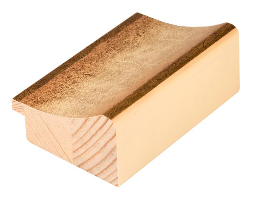 DANTIK Zrkadlo 60x100 |METAL bílozlatá,