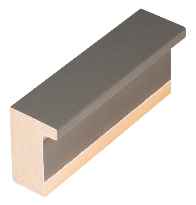 DANTIK Zrkadlo 60x100 KASSETTE šedá