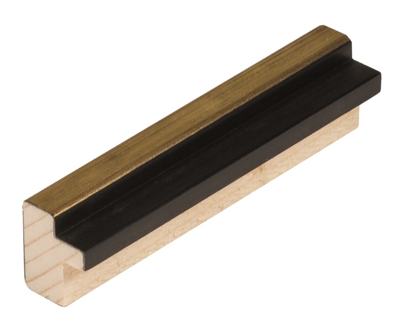 DANTIK rám na obraz 15x20 | NINA černá AU linka (Sklo Čiré)