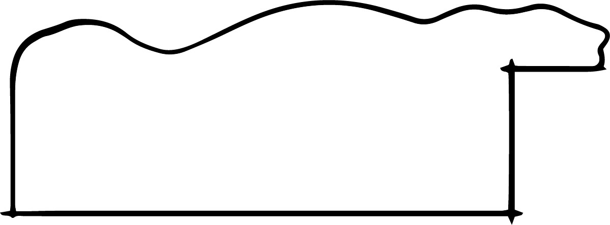 DANTIK Zrkadlo 40x60 TOULON bílá velká