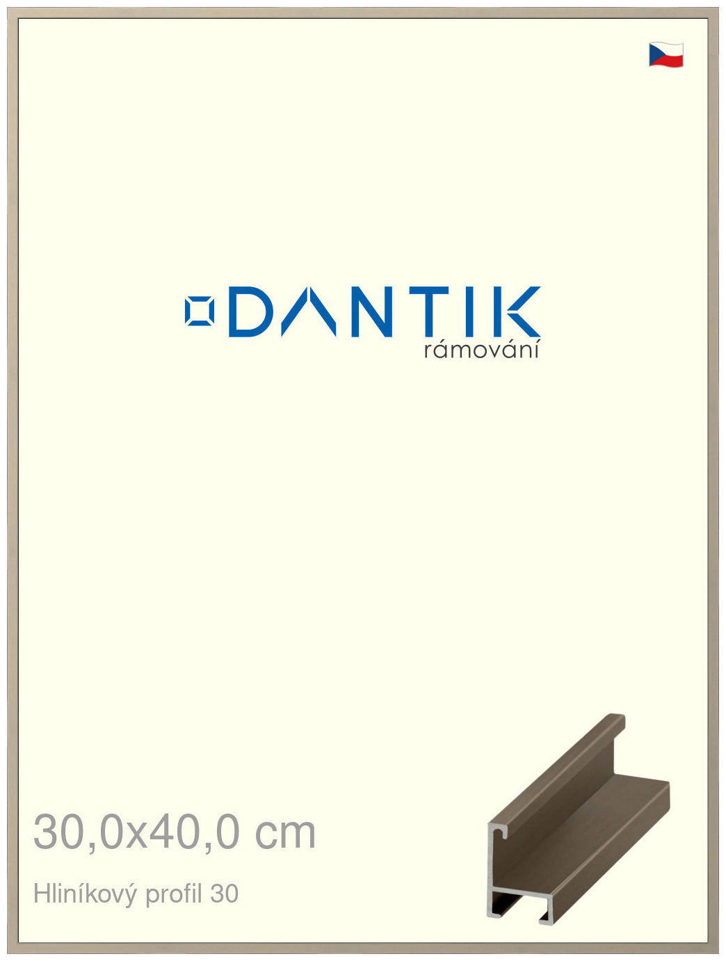 DANTIK rám na obraz 30x40 | ALU champagne (Plexi Čiré)
