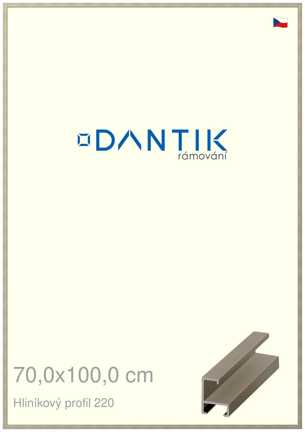 DANTIK rám na obraz 70x100 | ALU champagne (Plexi Čiré)