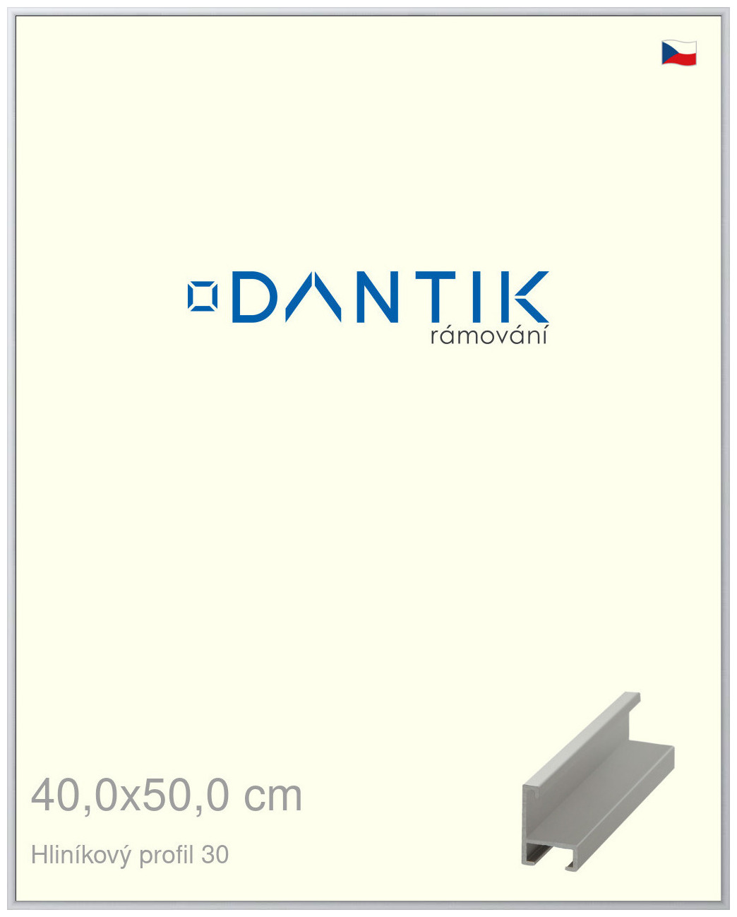 DANTIK rám na obraz 40x50 | ALU Stříbrná matná (Sklo Čiré)