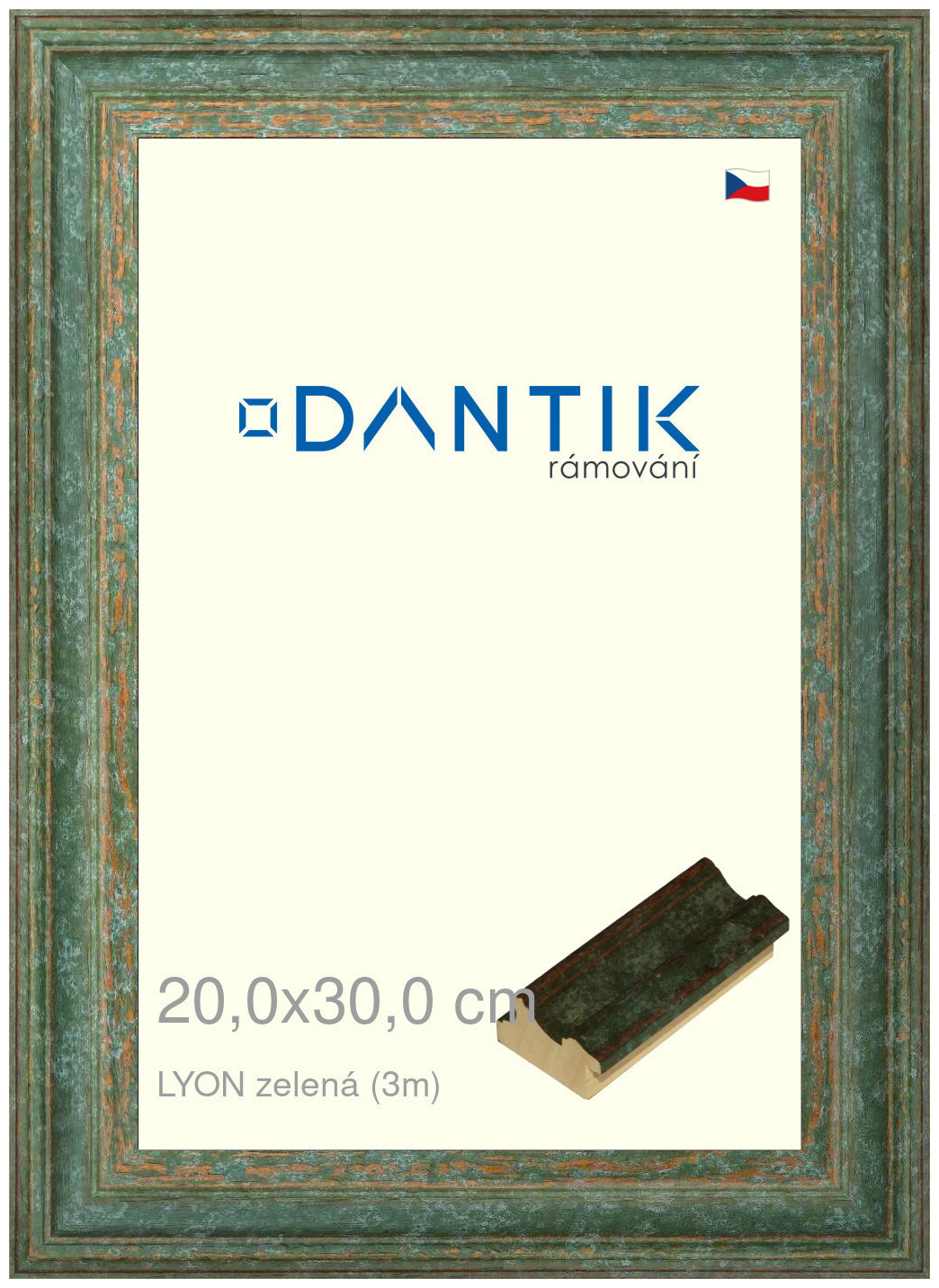 DANTIK rám na obraz 20x30 | LYON zelená (Sklo Čiré)