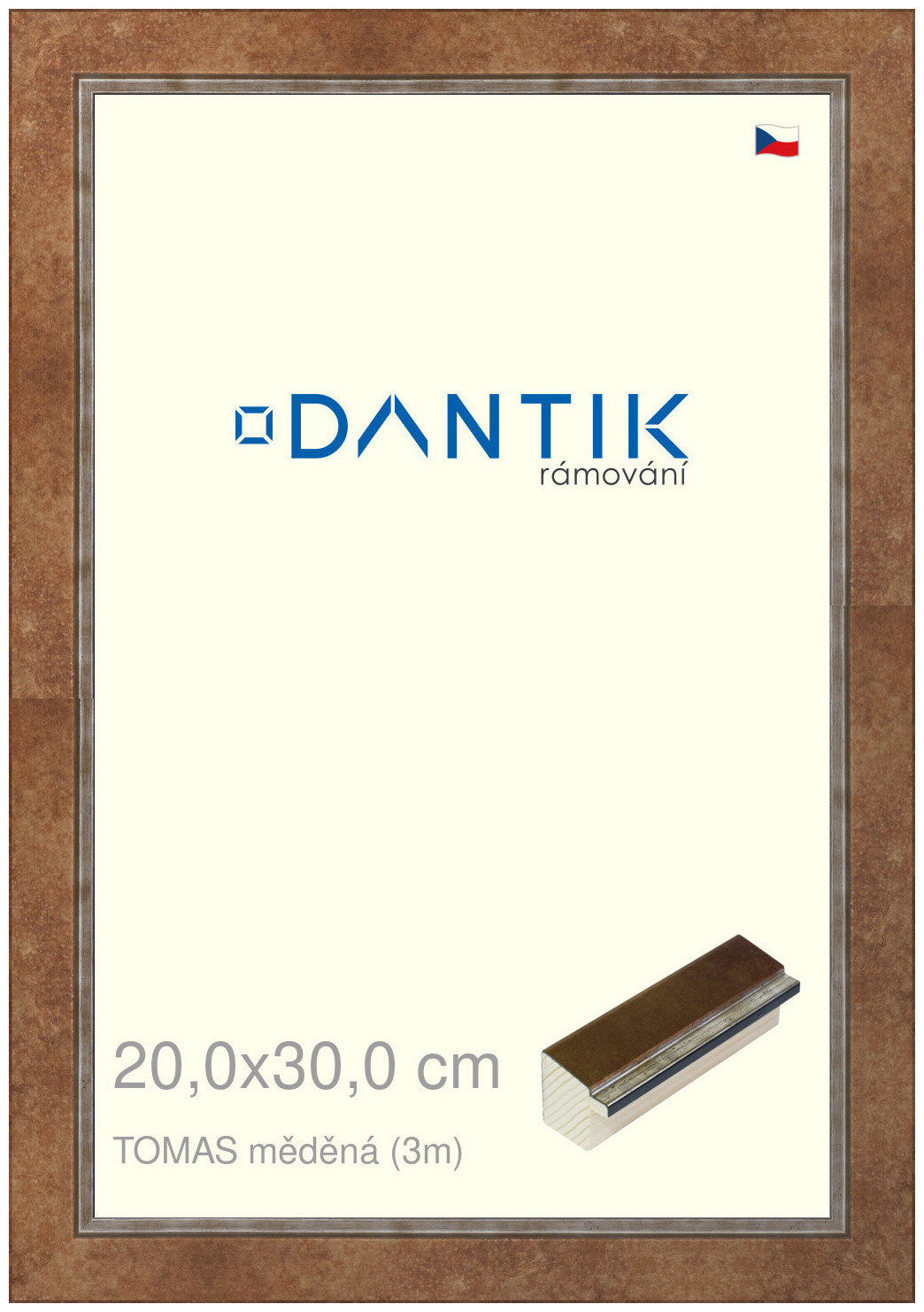 DANTIK rám na obraz 20x30 | TOMAS měděná (Sklo Čiré)