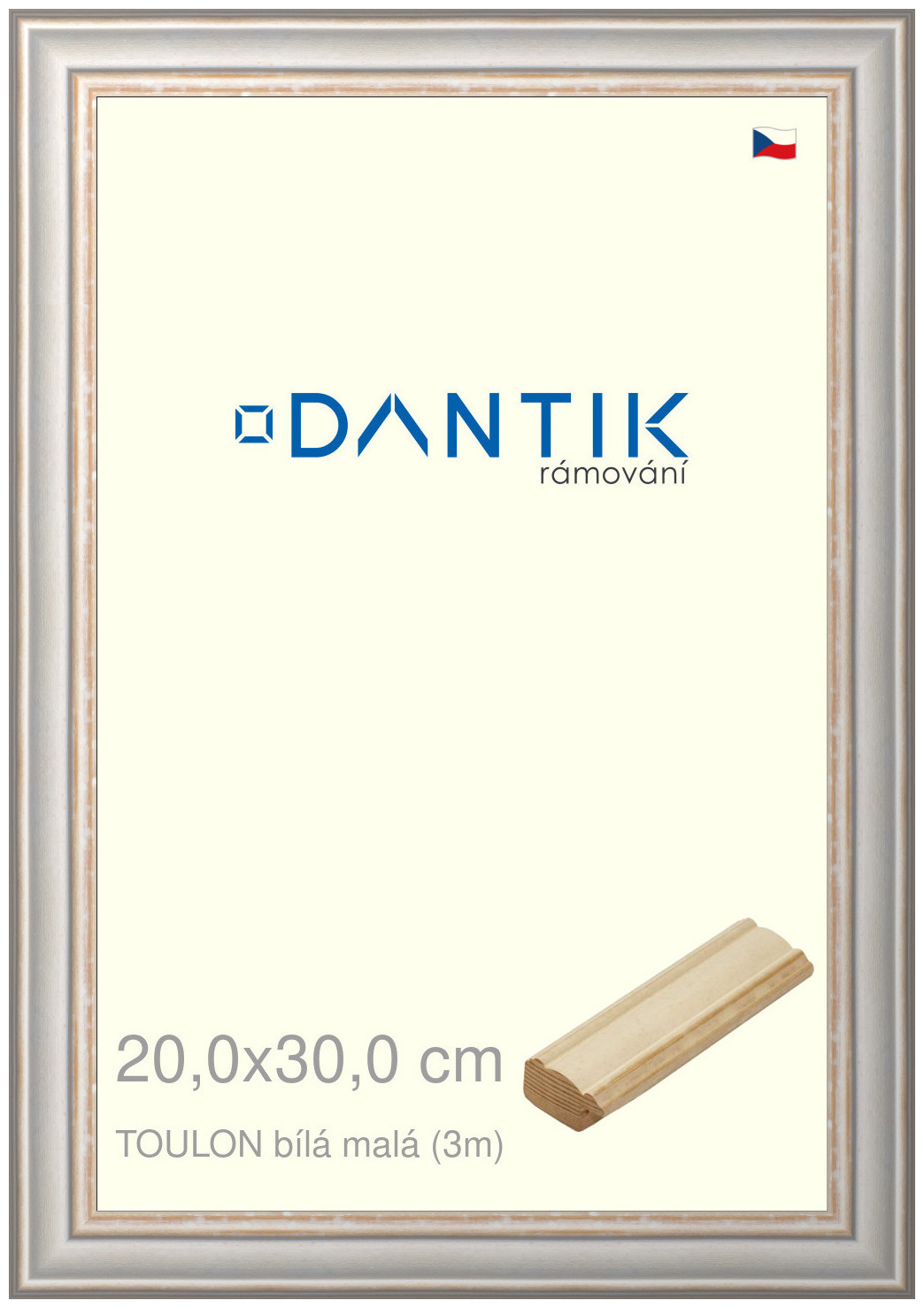 DANTIK rám na obraz 20x30 | TOULON bílá malá (Sklo Čiré)