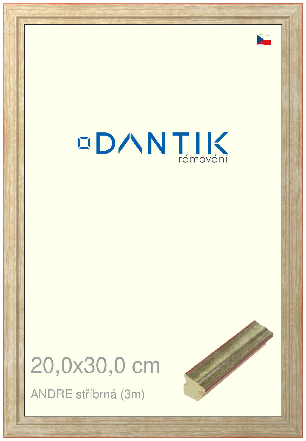 DANTIK rám na obraz 20x30 | ANDRE stříbrná (Sklo Čiré)