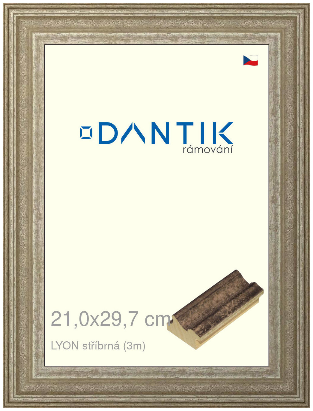DANTIK rám na obraz 21x29,7 | LYON stříbrná (Sklo Čiré)