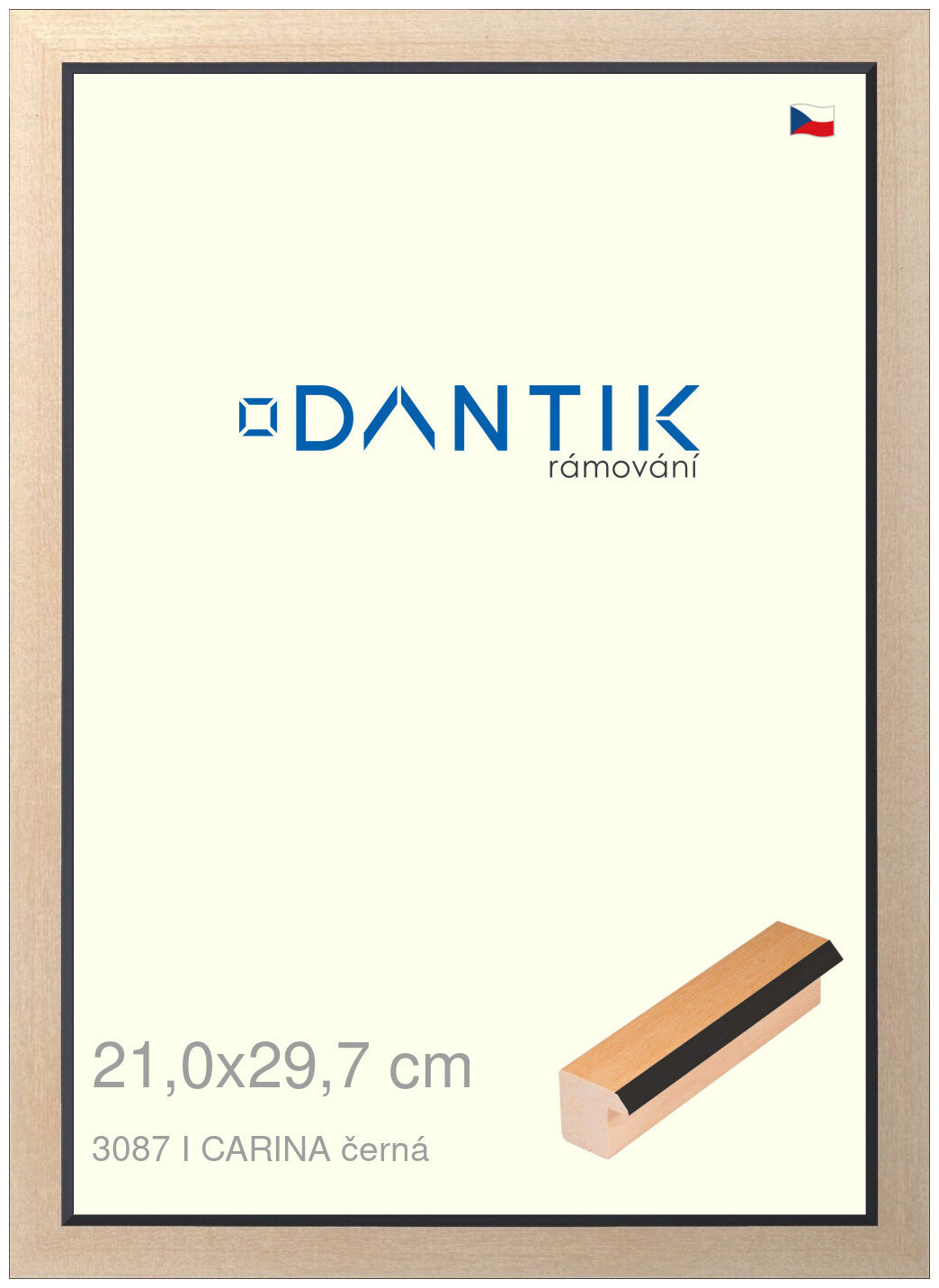 DANTIK rám na obraz 21x29,7 | CARINA černá (Sklo Čiré)