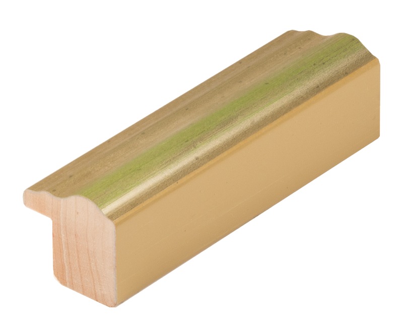 Rámová lišta DANTIK - 3126 | Y-ka zelená linka