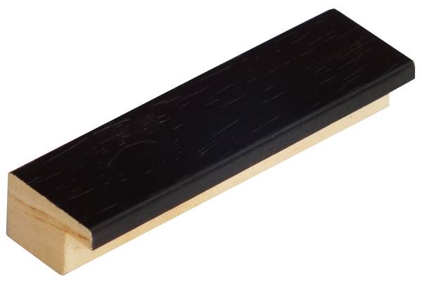 Rámová lišta DANTIK - 2802 | 2013 černá