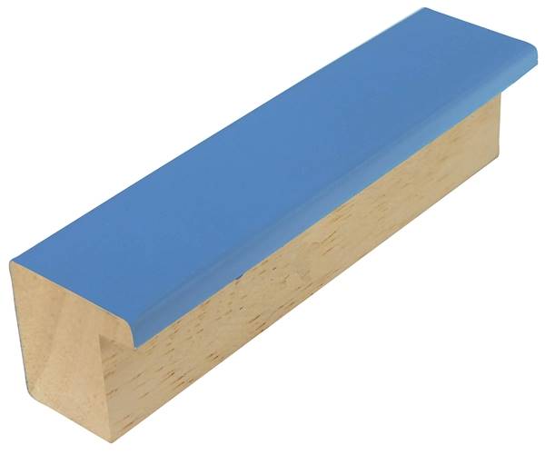 Pastelka 2567