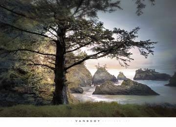 91x66 | All Day Dreamer ( Vanscoy William )