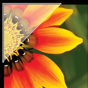 Lineco Muzeální - samolepící fotorůžky 35mm archivální kvalita, 240 ks