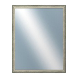 DANTIK Zrkadlo 40x50 DELFINO stříbrná