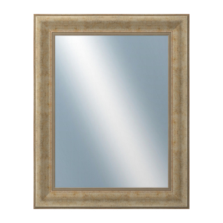 DANTIK Zrkadlo 40x50 KŘÍDLO malé stříbrné patina