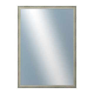DANTIK Zrkadlo 50x70 DELFINO stříbrná