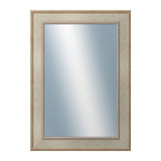 DANTIK Zrkadlo 50x70 TOOTH stříbrná