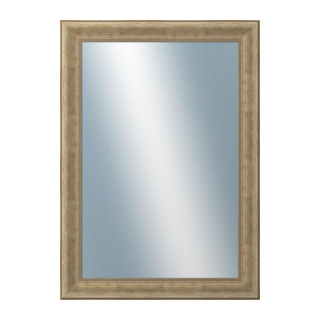 DANTIK Zrkadlo 50x70 KŘÍDLO malé stříbrné patina