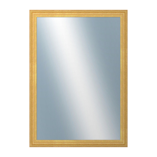 DANTIK Zrkadlo 50x70 LYON zlatá