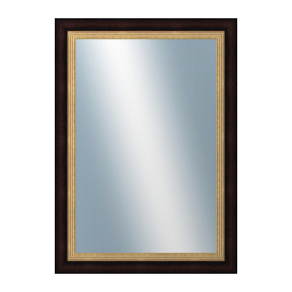 DANTIK Zrkadlo 50x70 | SCALA hnědá