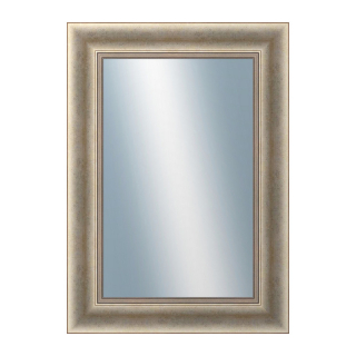 DANTIK Zrkadlo 50x70 KŘÍDLO velké stříbrné patina