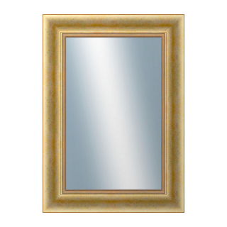 DANTIK Zrkadlo 50x70 KŘÍDLO velké zlaté patina