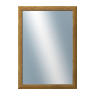 DANTIK Zrkadlo 50x70 LEDVINKA hnědá