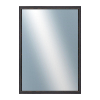 DANTIK Zrkadlo 50x70 DELFINO hnědá