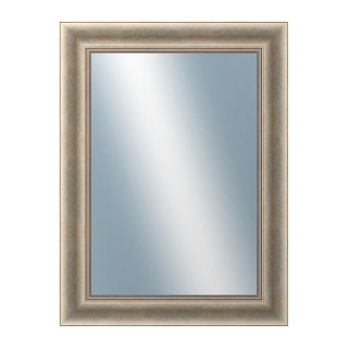 DANTIK Zrkadlo 60x80 KŘÍDLO velké stříbrné patina