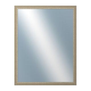 DANTIK Zrkadlo 70x90 LYON stříbrná
