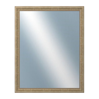 DANTIK Zrkadlo 80x100 KŘÍDLO malé stříbrné patina