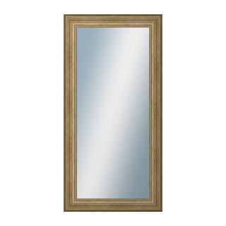 DANTIK Zrkadlo 50x100 HRAD stříbrná patina