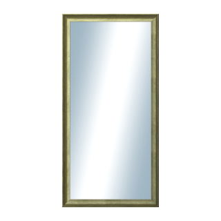 DANTIK Zrkadlo 50x100 Ferrosa zlatá