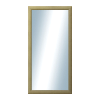 DANTIK Zrkadlo 50x100 LEDVINKA přírodní