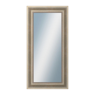 DANTIK Zrkadlo 50x100 KŘÍDLO velké stříbrné patina