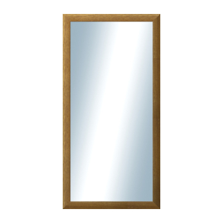 DANTIK Zrkadlo 50x100 LEDVINKA hnědá