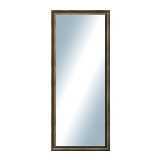 DANTIK Zrkadlo 50x120 Ferrosa bronzová
