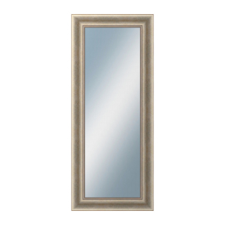 DANTIK Zrkadlo 50x120 KŘÍDLO velké stříbrné patina