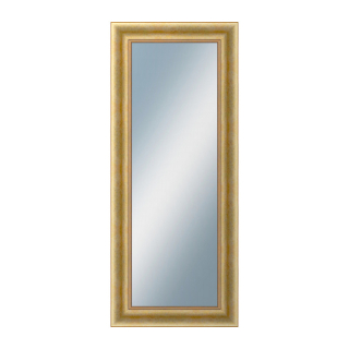 DANTIK Zrkadlo 50x120 KŘÍDLO velké zlaté patina