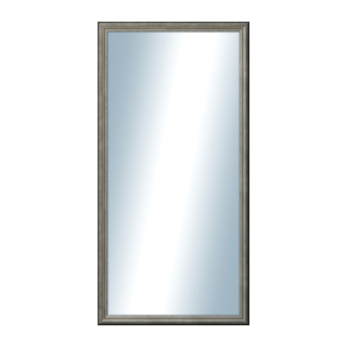 DANTIK Zrkadlo 60x120 Anversa stříbrná