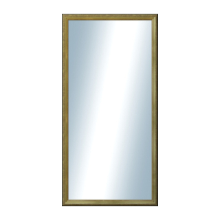 DANTIK Zrkadlo 60x120 Anversa zlatá