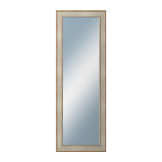 DANTIK Zrkadlo 50x140 TOOTH stříbrná