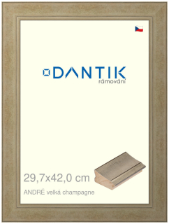 DANTIK rám na obraz 29,7x42 | ANDRÉ velká champagne (Plexi Čiré)