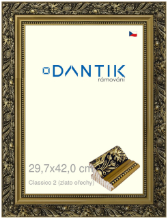 DANTIK rám na obraz 29,7x42 | Claico 2 (zlato ořechy) (Plexi Čiré)