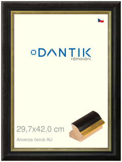 DANTIK rám na obraz 29,7x42 | ANIVERSA černá AU (Plexi Čiré)